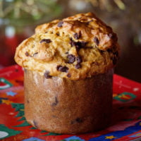 curiosità panettone